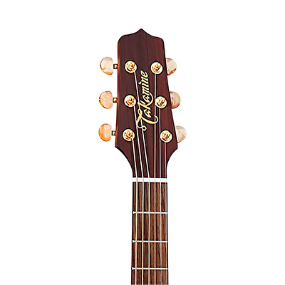 Takamine FN15 AR Limited Edition Dreadnought Elektro Akustik Gitar